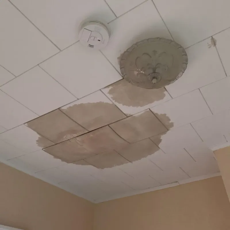 Ceiling Water Damage Repair in Newton, MA