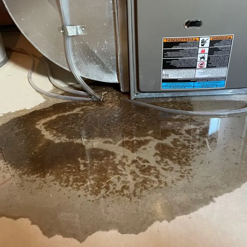 Pipe Burst and Leak Restoration in Newton, MA